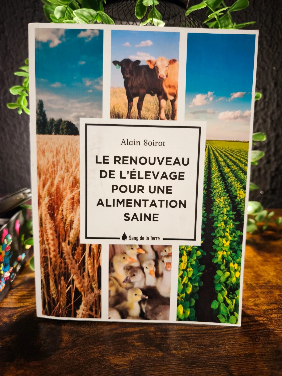 Le renouveau de l'élevage pour une alimentation saine